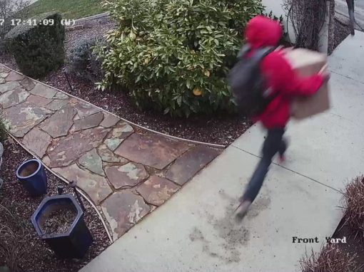 Package Theft 2/25/17